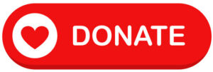 Donate $500